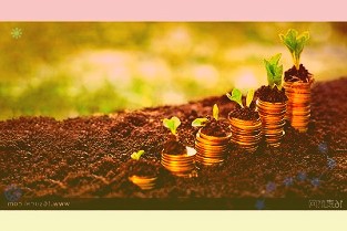 大摩:苹果产量或超预期增长,预计Q1业绩有“惊喜”
